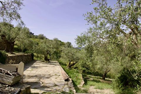 Villa i Vallebona, Imperia, Vallebona - € 495.000 | Ref: D436-486230 - foto 8