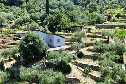 Villa i Vallebona, Imperia, Vallebona - € 495.000 | Ref: D436-486230 - foto 9