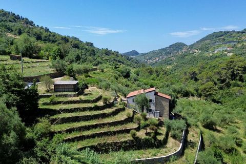 Villa i Vallebona, Imperia, Vallebona - € 495.000 | Ref: D436-486230 - foto 10