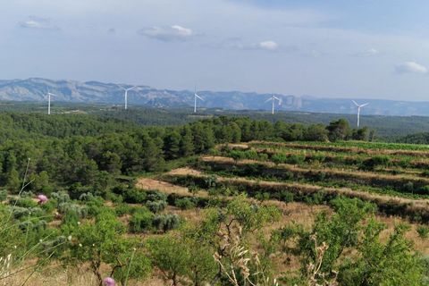 Grond in Caseres, Tarragona, Caseres - € 54.500 | Ref: EXP09782/8930 - foto 1