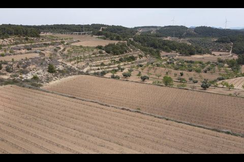 Grond in Caseres, Tarragona, Caseres - € 54.500 | Ref: EXP09782/8930 - foto 2