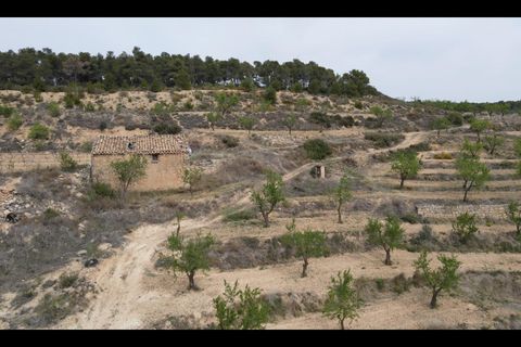 Grond in Caseres, Tarragona, Caseres - € 54.500 | Ref: EXP09782/8930 - foto 3
