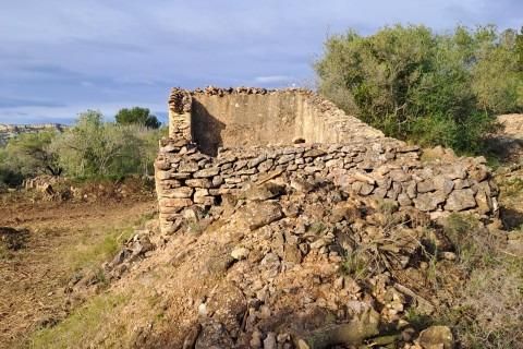 Landejendom i Tortosa, Tarragona, Tortosa - € 169.500 | Ref: Fin_Mallorquins_Alba/7003 - foto 16