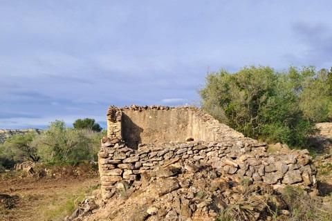 Landejendom i Tortosa, Tarragona, Tortosa - € 169.500 | Ref: Fin_Mallorquins_Alba/7003 - foto 18