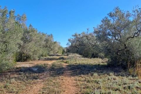 Landejendom i Tortosa, Tarragona, Tortosa - € 169.500 | Ref: Fin_Mallorquins_Alba/7003 - foto 19