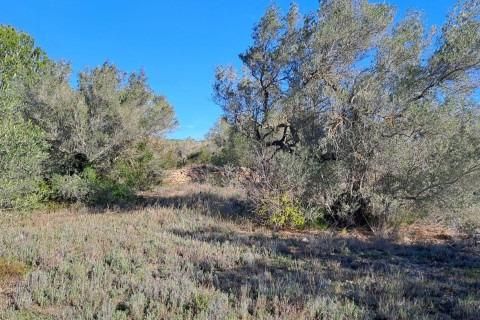 Landejendom i Tortosa, Tarragona, Tortosa - € 169.500 | Ref: Fin_Mallorquins_Alba/7003 - foto 21