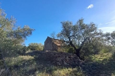 Landejendom i Tortosa, Tarragona, Tortosa - € 169.500 | Ref: Fin_Mallorquins_Alba/7003 - foto 22