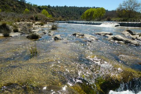 Finca a Caseres, Tarragona, Caseres - € 29.500 | Ref: 1050 - foto 18