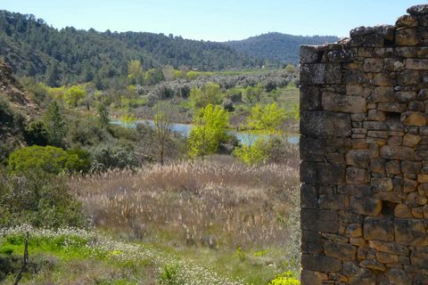 Finca a Caseres, Tarragona, Caseres - € 29.500 | Ref: 1050 - foto 10