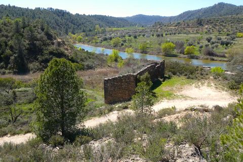 Finca a Caseres, Tarragona, Caseres - € 29.500 | Ref: 1050 - foto 1