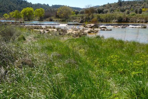 Finca a Caseres, Tarragona, Caseres - € 29.500 | Ref: 1050 - foto 16