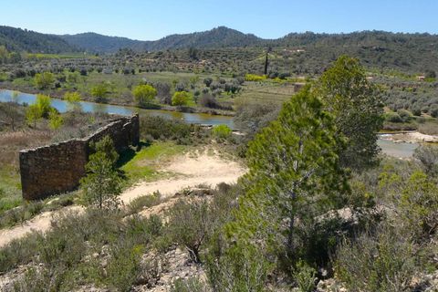 Finca a Caseres, Tarragona, Caseres - € 29.500 | Ref: 1050 - foto 20