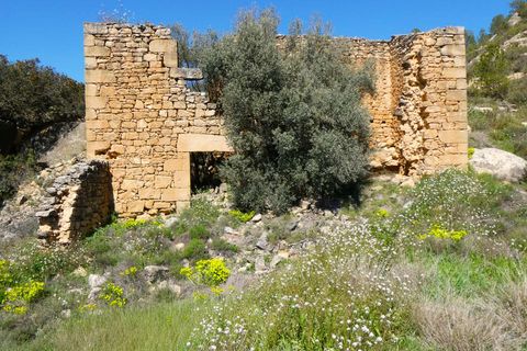 Finca a Caseres, Tarragona, Caseres - € 29.500 | Ref: 1050 - foto 13