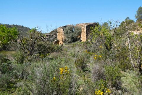 Finca a Caseres, Tarragona, Caseres - € 29.500 | Ref: 1050 - foto 11