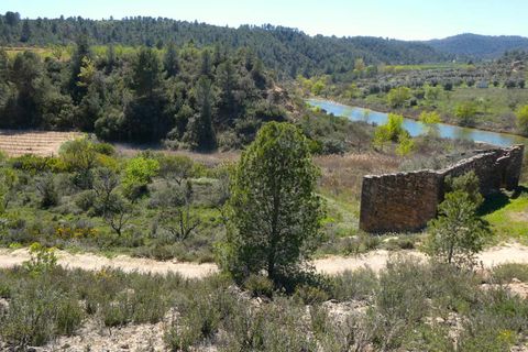 Finca a Caseres, Tarragona, Caseres - € 29.500 | Ref: 1050 - foto 21