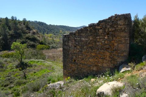 Finca a Caseres, Tarragona, Caseres - € 29.500 | Ref: 1050 - foto 9