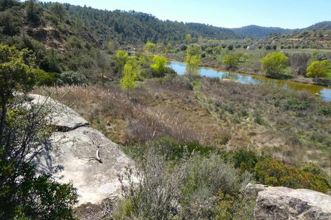 Finca a Caseres, Tarragona, Caseres - € 29.500 | Ref: 1050 - foto 6