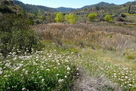 Finca a Caseres, Tarragona, Caseres - € 29.500 | Ref: 1050 - foto 12