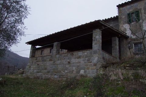 Farm hus i Dicomano, Florence, Dicomano - € 245.000 | Ref: 0219-3 - foto 6
