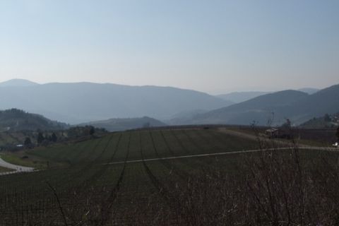 Farm hus i Pelago, Florence, Pelago - € 1.300.000 | Ref: 0258-3 - foto 2