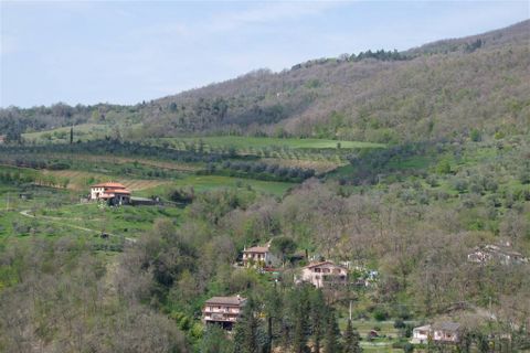 Terra a Londa, Florence, Londa - € 60.000 | Ref: 0112-6 - foto 2