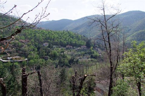Terra a Londa, Florence, Londa - € 60.000 | Ref: 0112-6 - foto 3