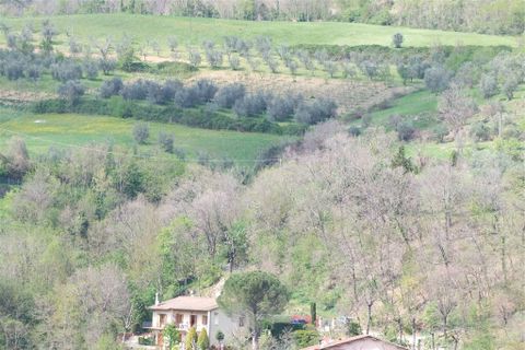 Terra a Londa, Florence, Londa - € 60.000 | Ref: 0112-6 - foto 4