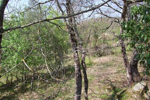 Terra a Londa, Florence, Londa - € 60.000 | Ref: 0112-6 - foto 5