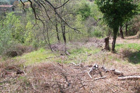 Terra a Londa, Florence, Londa - € 60.000 | Ref: 0112-6 - foto 6