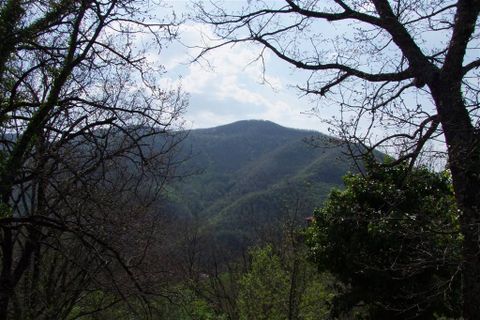 Terra a Londa, Florence, Londa - € 60.000 | Ref: 0112-6 - foto 7