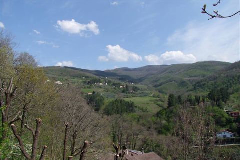 Terra a Londa, Florence, Londa - € 60.000 | Ref: 0112-6 - foto 9