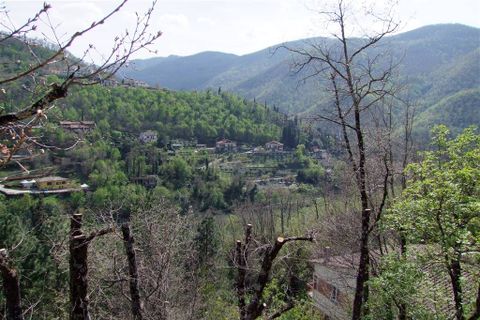 Terra a Londa, Florence, Londa - € 60.000 | Ref: 0112-6 - foto 10