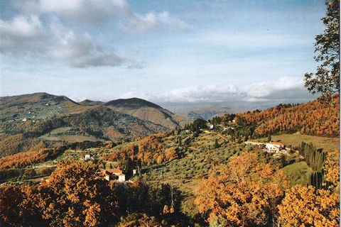 Farm hus i Rufina, Florence, Rufina - € 319.000 | Ref: 0100-3 - foto 7