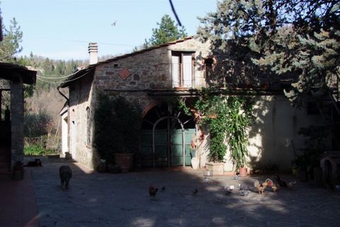 Farm hus i Rufina, Florence, Rufina - € 1.075.000 | Ref: 0682-3 - foto 6