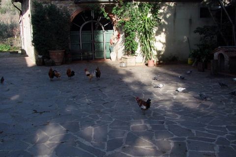 Farm hus i Rufina, Florence, Rufina - € 1.075.000 | Ref: 0682-3 - foto 7