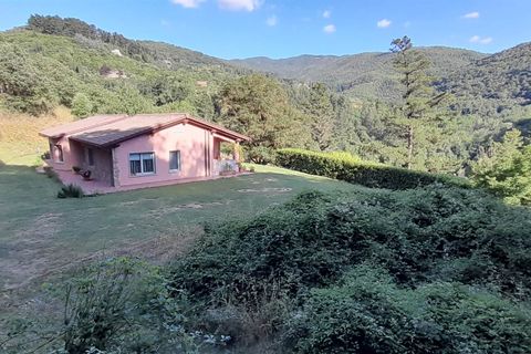 Villa a Londa, Florence, Londa - € 800.000 | Ref: 0759-2 - foto 7