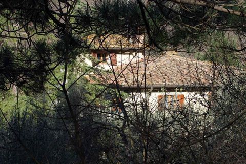 Farm hus i Rufina, Florence, Rufina - € 925.000 | Ref: 0671-3 - foto 5