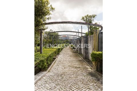 Granja a Almada, Setubal, Almada - € 4.000.000 | Ref: W-02ZGD2 - foto 18