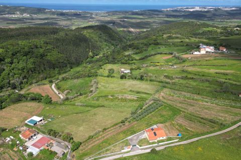 Helårsgrund i Alcobaca, Leiria, Alcobaca - € 38.500 | Ref: 0563-01816 - foto 4