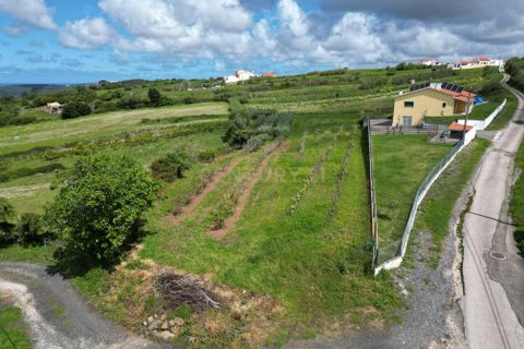 Helårsgrund i Alcobaca, Leiria, Alcobaca - € 38.500 | Ref: 0563-01816 - foto 2