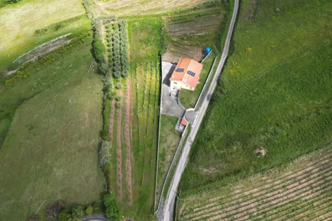 Helårsgrund i Alcobaca, Leiria, Alcobaca - € 38.500 | Ref: 0563-01816 - foto 5