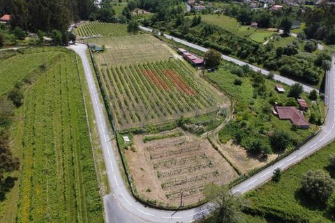 Helårsgrund i Jolda (Sao Paio), Viana do Castelo, Jolda (Sao Paio) - € 197.500 | Ref: AVV-2412-MS-0425 - foto 1
