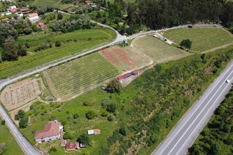 Helårsgrund i Jolda (Sao Paio), Viana do Castelo, Jolda (Sao Paio) - € 197.500 | Ref: AVV-2412-MS-0425 - foto 5