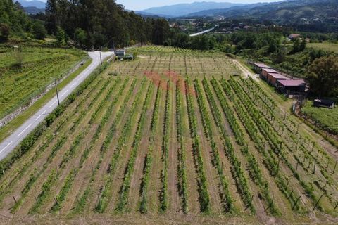 Helårsgrund i Jolda (Sao Paio), Viana do Castelo, Jolda (Sao Paio) - € 197.500 | Ref: AVV-2412-MS-0425 - foto 8