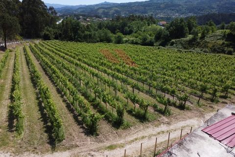 Helårsgrund i Jolda (Sao Paio), Viana do Castelo, Jolda (Sao Paio) - € 197.500 | Ref: AVV-2412-MS-0425 - foto 9
