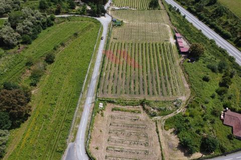 Helårsgrund i Jolda (Sao Paio), Viana do Castelo, Jolda (Sao Paio) - € 197.500 | Ref: AVV-2412-MS-0425 - foto 11