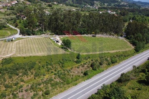 Helårsgrund i Jolda (Sao Paio), Viana do Castelo, Jolda (Sao Paio) - € 197.500 | Ref: AVV-2412-MS-0425 - foto 12
