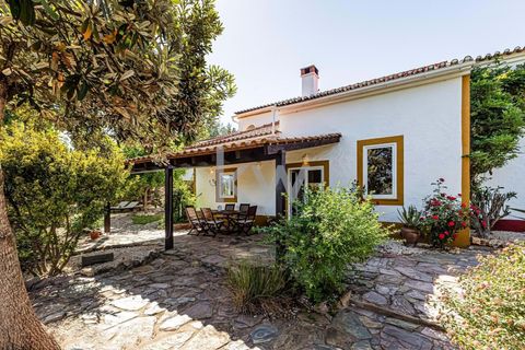 Villa i Odemira, Beja, Odemira - € 750.000 | Ref: 1210-2950 - foto 15