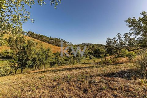 Villa i Odemira, Beja, Odemira - € 750.000 | Ref: 1210-2950 - foto 39