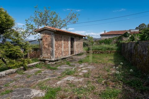 Farm i Caminha, Viana do Castelo, Caminha - € 475.000 | Ref: MAS_195 - foto 14